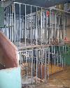 TUBULAR CAGES